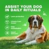 Grass Burn Spot Chews for Dogs Urine Neutralizer for Lawn Grass Savers for Dog Urine Dog Pee Lawn Spot Saver Caused by Dog Urine Grass Treatment Rocks