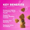 Dog UTI Treatment Dog Cranberry Supplement for Bladder Kidney Health Urinary Tract Incontinence Support Cranberry Supplement for Dog Incontinence Blad
