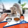 Natural Dog Yeast Infection Anti Itch Treatment Itchy Ears Skin & Allergy Symptoms Relief Reduces Inflammation & Relieves Irritation Herbal Medicine S